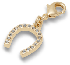 Horseshoe Charm