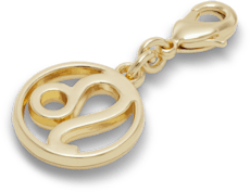 Leo Charm