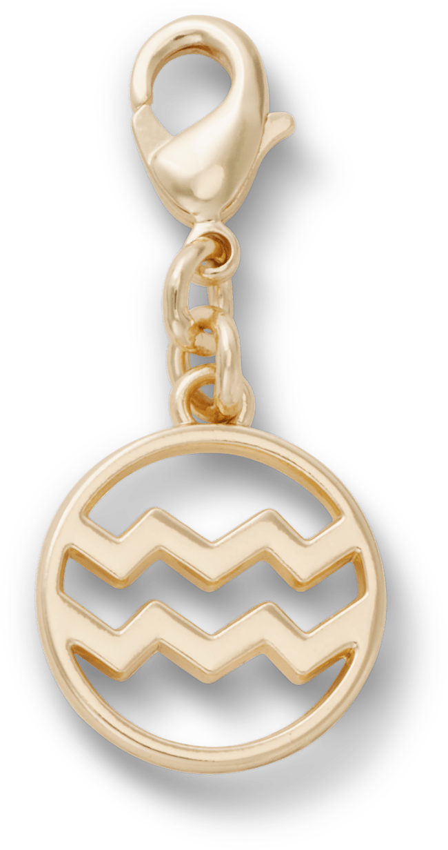 Aquarius Charm