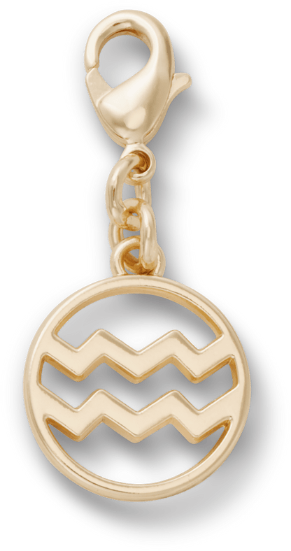 Aquarius Charm