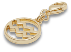 Aquarius Charm