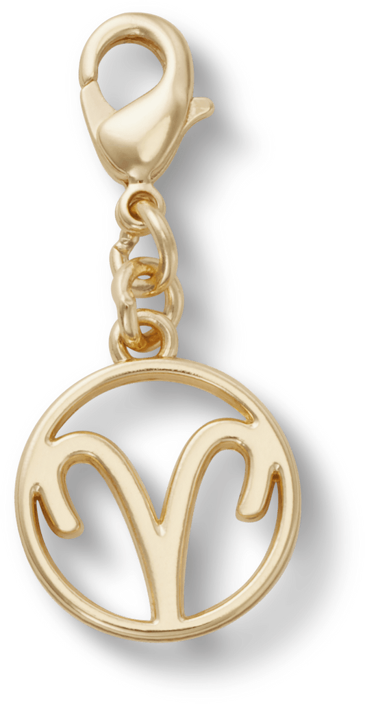 Aries Charm