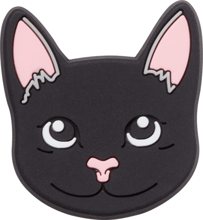 Black Cat