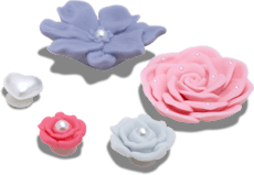 Boho Flowers 5 Pack