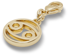 Cancer Charm