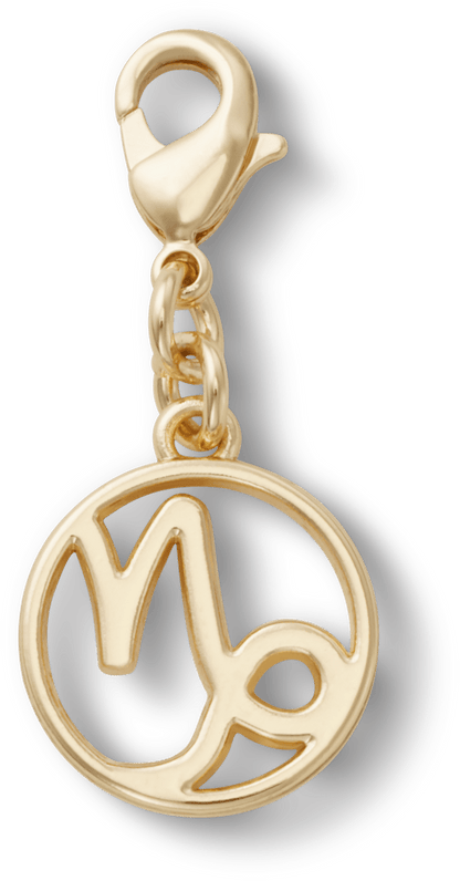 Capricorn Charm