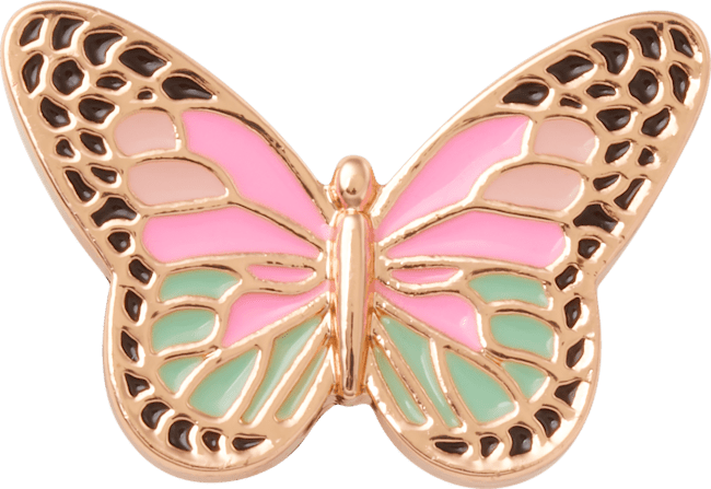 Elevated Colorful Butterfly