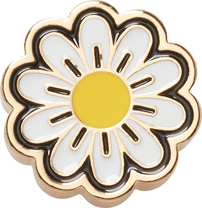 Elevated Daisy