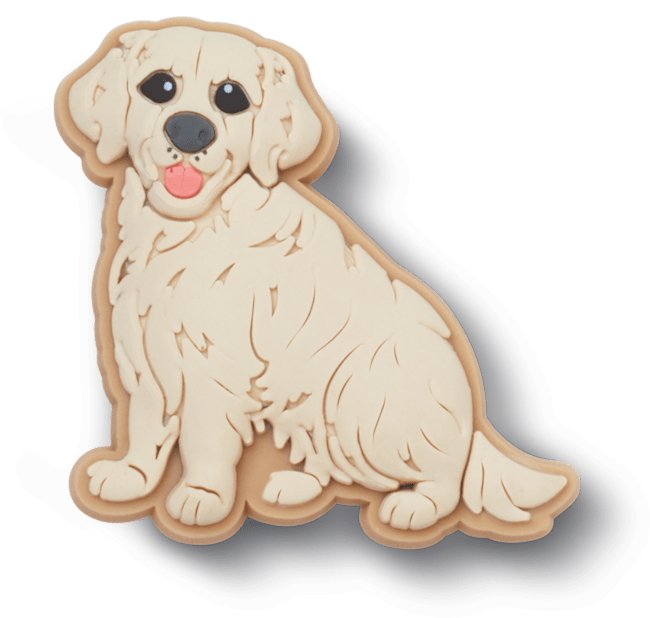 Golden Retriever Puppy