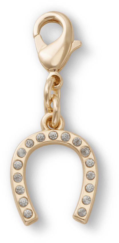 Horseshoe Charm