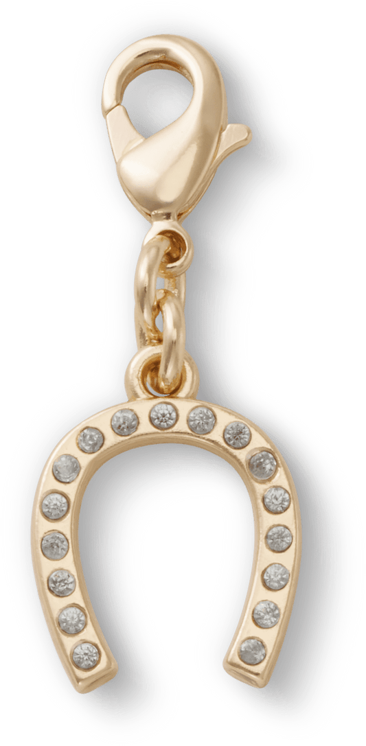 Horseshoe Charm
