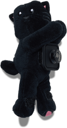 Huggitz Black Velvet Cat
