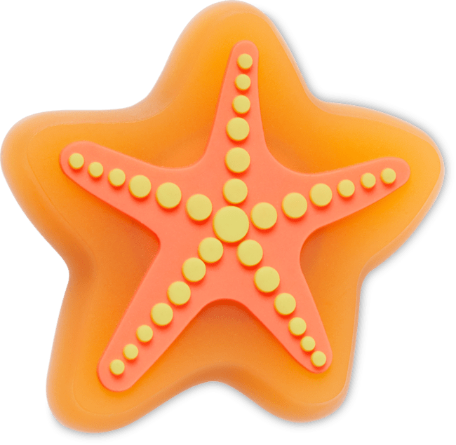 Lights Up Starfish
