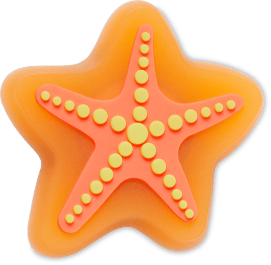 Lights Up Starfish