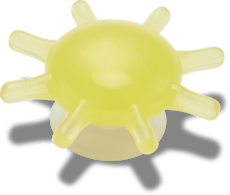 Little Yellow Sunshine