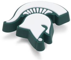 Michigan State University