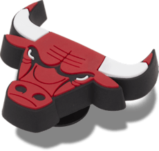 NBA Chicago Bulls