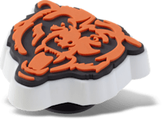 NFL Chicago Bears Logo