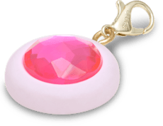 Pink Circle Sim Gem Charm