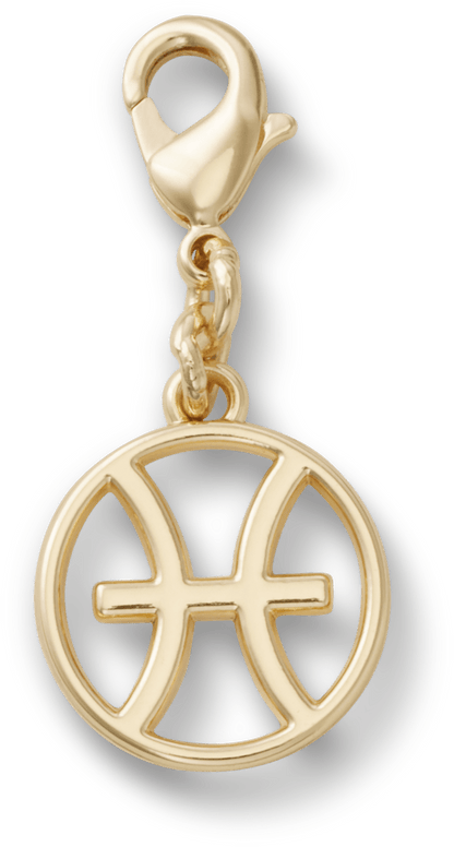 Pisces Charm