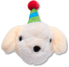 Record Your Own Sound Birthday