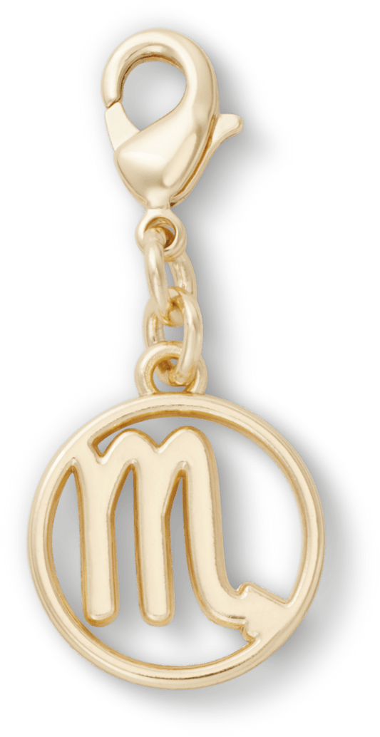 Scorpio Charm