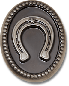 Silver Horseshoe