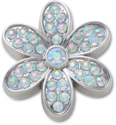 Silver Mnchrm Daisy 1