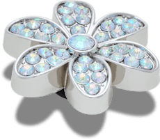 Silver Mnchrm Daisy 1
