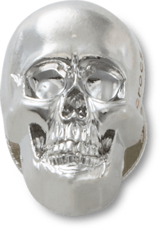 Silver Skull