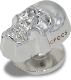 Silver Skull