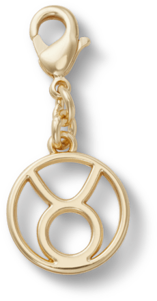 Taurus Charm