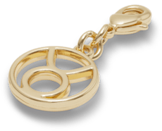 Taurus Charm