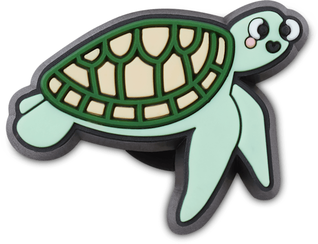 Tiny Sea Turtle
