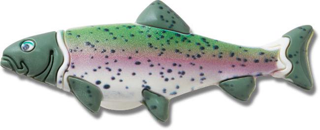 Trout Fish