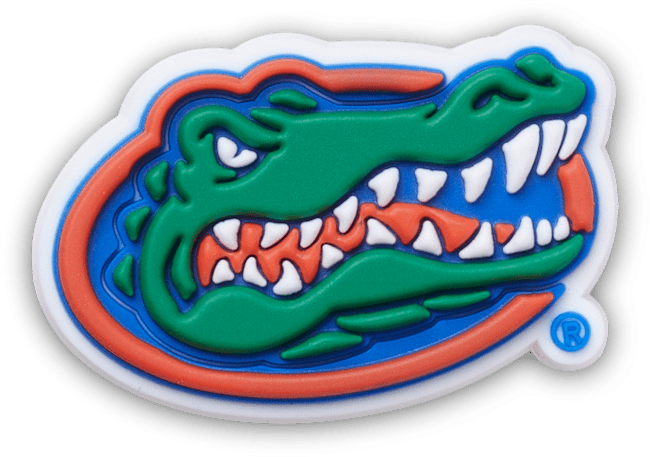 University of Florida