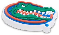 University of Florida